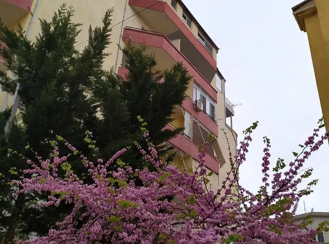Apartment Reli Golem (Tirana)
